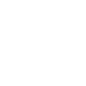 Domain Focus