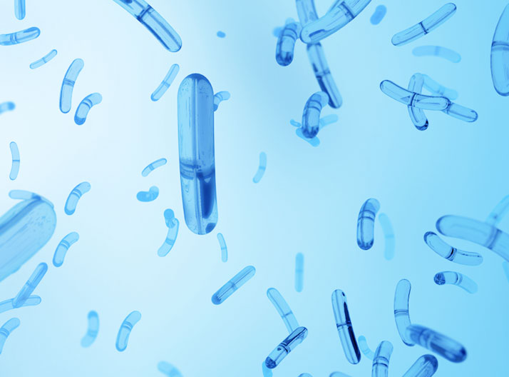 TOXICOLOGICAL EVALUATION