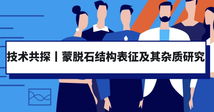 技术共探丨药物质量控制中的蒙脱石结构表征及其杂质定性定量分析研究（上）