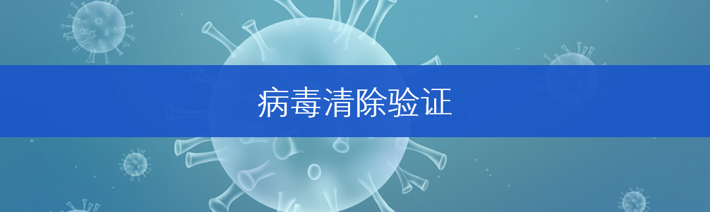 技术共探丨应对生物制品安全性挑战，从病毒清除验证开始！
