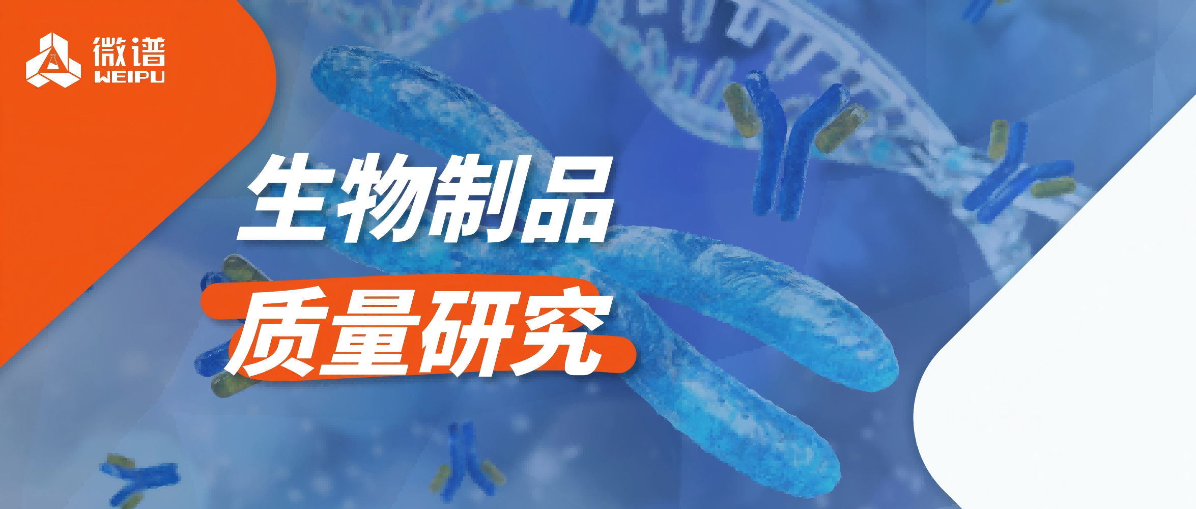业务介绍丨微谱生物制品质量研究服务平台